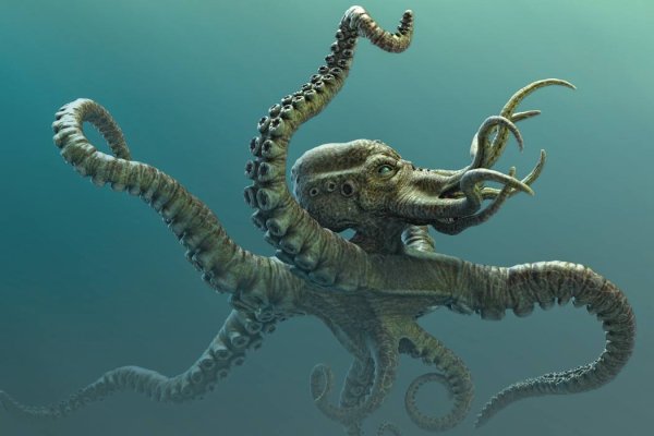 Kraken маркетплейс зеркала